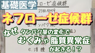 【解説】ネフローゼ症候群の発生機序まるわかり！ [upl. by Latham]