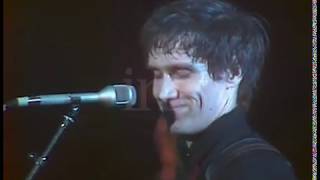 Wilko Johnson  Back In The Night Live 1980 [upl. by Anelej122]