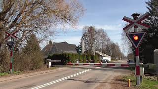 Jernbaneoverskæring HårlevSpoorwegovergang Level Crossing Passage a Niveau Bahnübergang [upl. by Harobed]