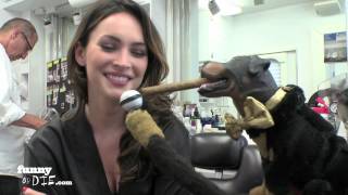 Triumph The Insult Comic Dog Visits the Set of This is 40 [upl. by Dare]