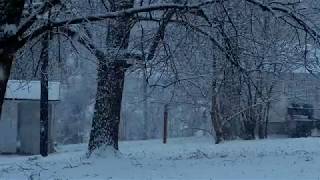 Snow Falling Free Stock Footage [upl. by Dorren]