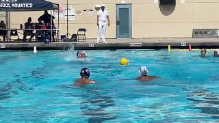 Water Polo Junior Year 20242025 [upl. by Elly]