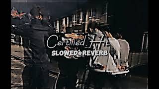 Certified Hit SlowedReverb  Tarna  Byg Byrd  Blamo  New Punjabi Songs [upl. by Ushijima]