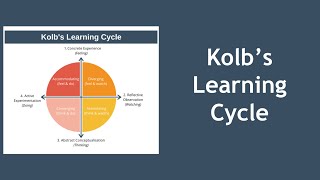 Kolbs Learning Cycle Explained with Example [upl. by Julide431]