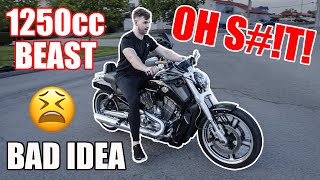 Teaching A Friend HOW TO RIDE A MOTORCYCLE On A Harely Davidson VROD MUSCLE SCARY  First Ride [upl. by Revlis]