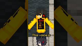 Ethos Voice Glitch In Minecraft [upl. by Shumway]