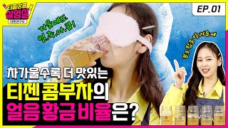 티콤상콤 실험실 EP 01 티젠 콤부차가 가장 맛있어지는 얼음 개수를 찾아라 ㅣ TEAZEN KOMBUCHA [upl. by Bork]