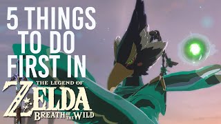 5 Things You Should Do First In Zelda Breath Of The Wild [upl. by Klute]