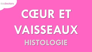 Le système cardiovasculaire  Histologie [upl. by Wedurn]