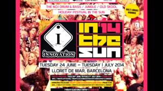 DJ HYPE EXCLUSIVE SET IC3  INNOVATION IN THE SUN 2014 [upl. by Ramed988]