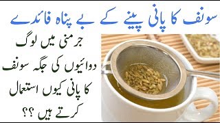 Benefits of Anise Seeds in HindiUrdu  Saunf Ke Fawaid  Homemade Remedy for Health [upl. by Udale602]