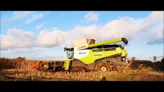 CLAAS Lexion TT bei der Maisernte 2017 Nord Deutschland 4K [upl. by Annerol]