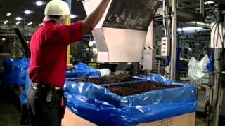 Video Raisin Processing and Packaging  How It Works [upl. by Aaron]