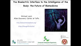 The Bioelectric Interface to the Intelligence of the Body the future of biomedicine [upl. by Almond68]