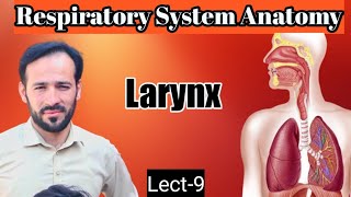 09 Anatomy of larynx  Larynx Anatomy  Membranes ligaments and muscles  Part1 [upl. by Coleman]