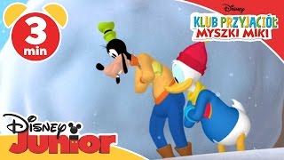 Klub przyjaciół Myszki Miki  Pies ratownik Pluto Oglądaj w Disney Junior [upl. by Nyer]