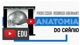 anatomia crânio recém nascido moleira  fontanela  Rodrigo Eberhart [upl. by Ereveniug]