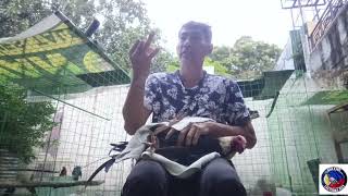 injection ng bitamina 🐥🐓I dont own the rights to the music in this video [upl. by Brenan336]