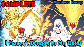 COMPLETED  The Rebirth of a Legend A Dragon’s Power Hidden Within a Mortal Shell  Manhwa Recap [upl. by Hilde976]