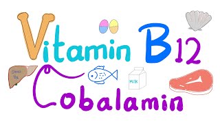 Vitamin B12 Cobalamin 🐚 🥩 🐠  Most Comprehensive Explanation [upl. by Pietro767]