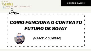 CONTRATO FUTURO DE SOJA  Como funciona [upl. by Brendin846]