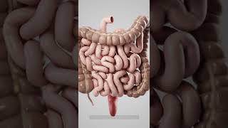 Early Warning Signs Of COLON CANCER You Should Not Ignore [upl. by Rother918]