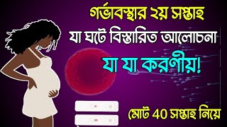 গর্ভাবস্থায় দ্বিতীয় সপ্তাহে যা যা ঘটে বিস্তারিত আলোচনা এবং যা যা করণীয়। second week of pregnancy [upl. by Alderman]