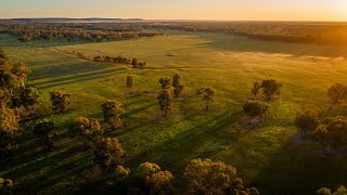 For Sale  Carraman Station Narrandera NSW [upl. by Rifkin]