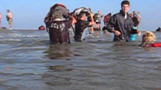 Wadlopen Ameland [upl. by Noryt]