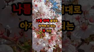 나를 위해 절대로 아끼면 안 되는 4가지 현실조언 명언 삶의지혜 [upl. by Newlin]