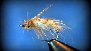 Fly Tying TCs Caddis Pupa [upl. by Zerelda849]