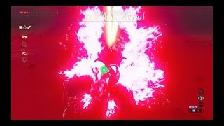 The Legend of Zelda Breath of the Wild Final Boss Calamity GanonDark Beast Ganon [upl. by Karlens703]