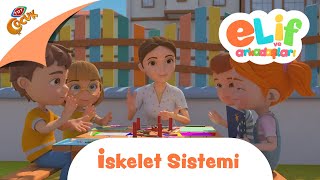 Elif ve Arkadaşları  İskelet Sistemi [upl. by Moyna800]