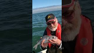 Small boat fishing North sea Aberdeenshire 🎣🐟🐟 Haddock Dab amp Crab 🐟🦀 [upl. by Nahtnahoj93]