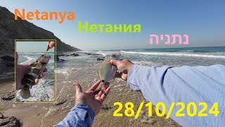 4K 28102024 Netanya Нетания נתניה דיג рыбалка fishing [upl. by Cicily]