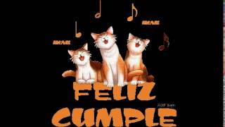 gatos cantando feliz cumpleaños [upl. by Stout]