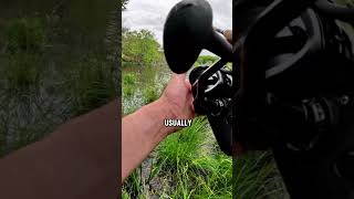 Why you need fishing waders fishing bassfishing fishinglife [upl. by Lanod]