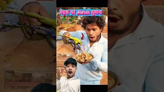 piyuansh2004 मेंढक 🐸 को Market घूमाने जाना frog funny [upl. by Keyser711]