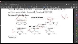 L85 Nucleotides [upl. by Cirre]