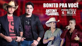 Antony e Gabriel – Bonito Pra Você  Part Pedro Paulo e Alex  Letra [upl. by Eedyak]