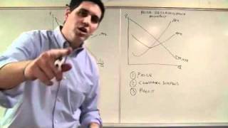 Price Discrimination Micro Topic 43 [upl. by Nodroj]