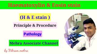 Haematoxylin amp Eosin H amp E Stain  Histopathology  MAC by vikram mehra [upl. by Alverson1]