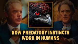 About Human Predatory Responses  Jordan Peterson [upl. by Mile]