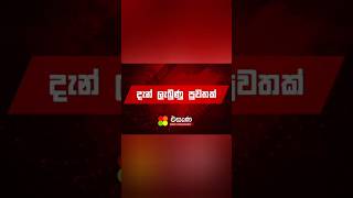 news bbc tv breakingnews දිවයින පුරා සුරාසැල් සියල්ල වසා දැමේ 📢📢📢 trending [upl. by Tannen]