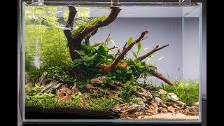 NonCO2 Aquascape Tutorial  How to Set Up an Easy Low Energy Aquascape [upl. by Grunenwald378]