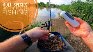 MultiSpecies Method Feeder Fishing [upl. by Elockcin524]