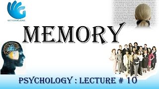 Memory  Psychology Lecture  10 [upl. by Akehsar]