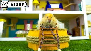 Awesome Hamster House  Homescapes 🐹 Homura Ham [upl. by Salba]