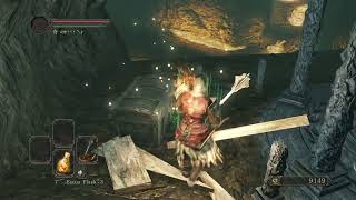 Titanite Chunk x 2 at Shaded Woods Dark Souls 2 SotFS [upl. by Sherar]