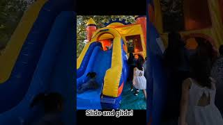 Slide and glide kids sliding [upl. by Bopp]